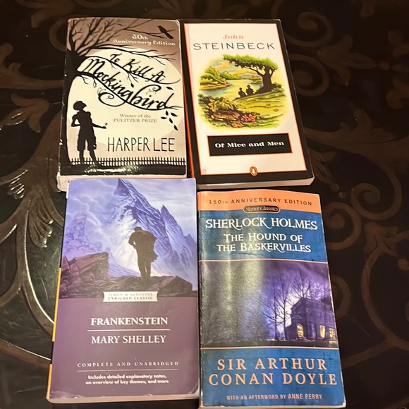 Classic Novels Book Bundle - Picture 1 of 2